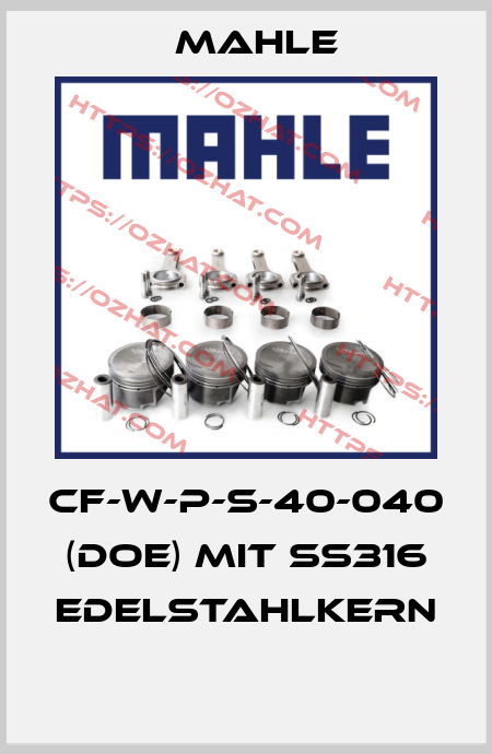 CF-W-P-S-40-040 (DOE) mit SS316 Edelstahlkern  MAHLE