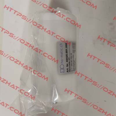 00025.001.000 Ho-Matic AG