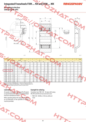 P/N: 4867-066300-040H33, Type: FXM 66-25 NX Ringspann