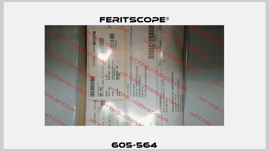 605-564 Feritscope®