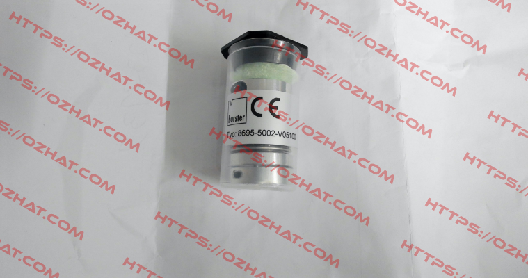 8695-5002-V05100 Burster