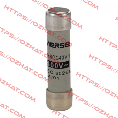 A214613 (pack = 10 pcs) Mersen