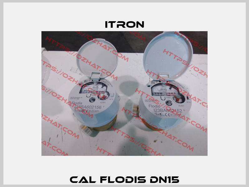 CAL Flodis DN15 Itron