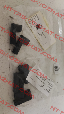310004 Maxon