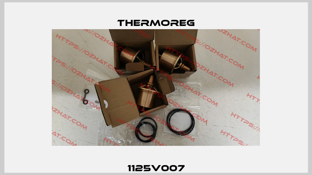1125V007 Thermoreg