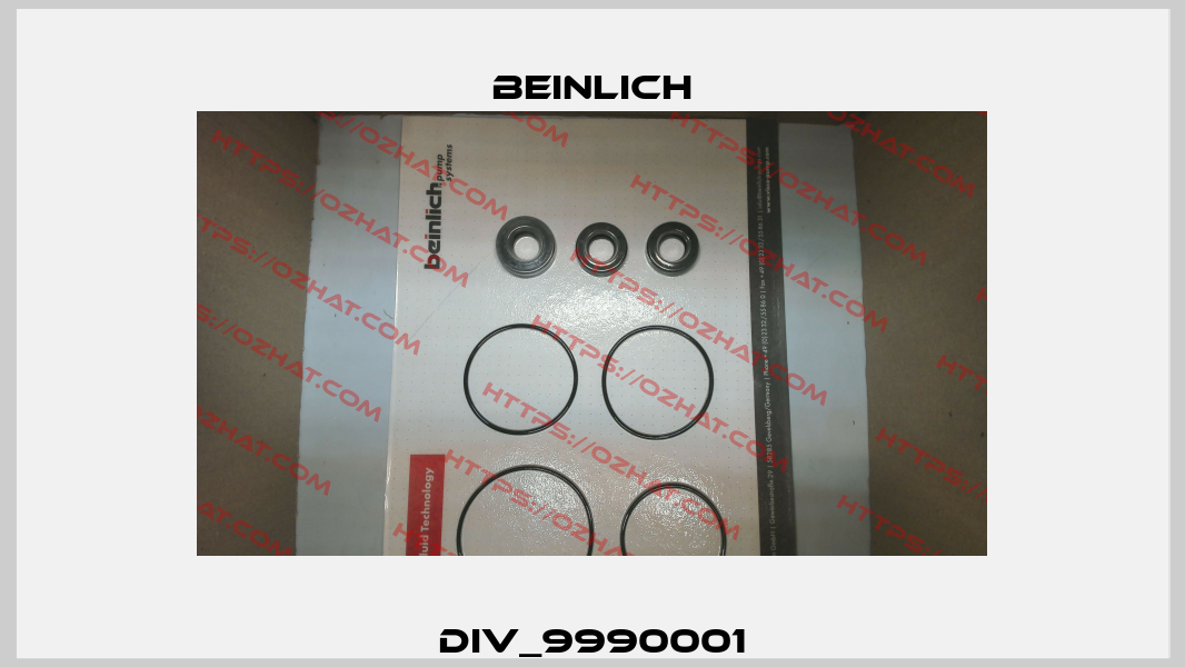 DIV_9990001 Beinlich