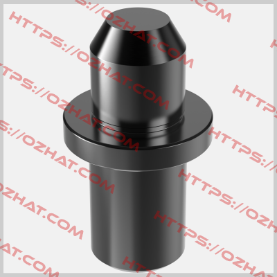 CL-8-RPT-.3917 Carr Lane
