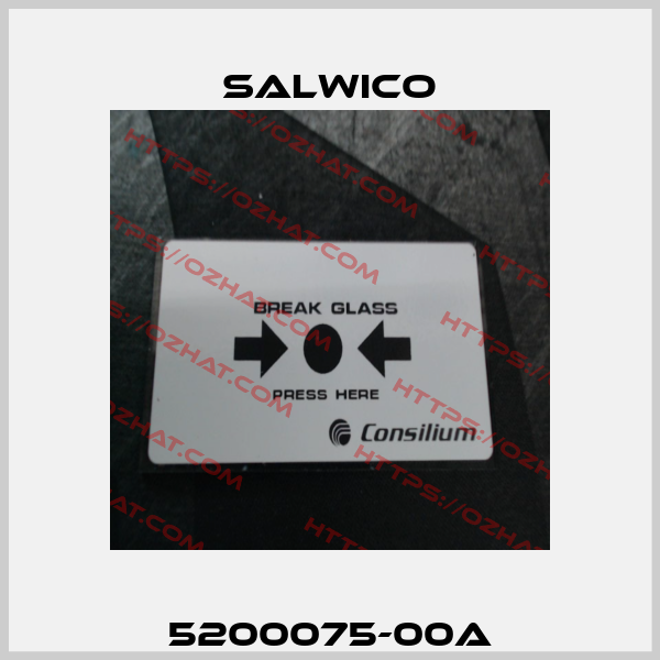 5200075-00A Salwico