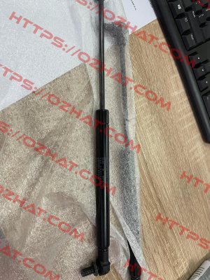 5031DG Stabilus