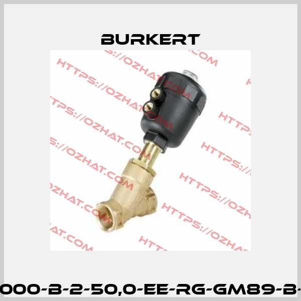 2000-B-2-50,0-EE-RG-GM89-B-E Burkert