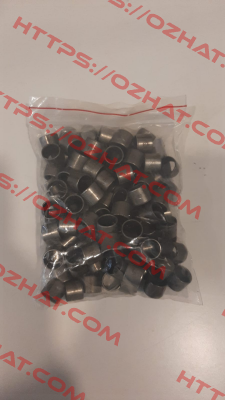 PG 101210 F Federal Mogul