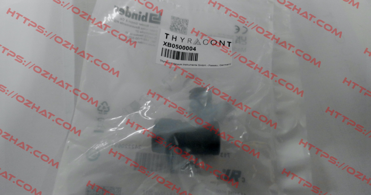 XB0500004 Thyracont