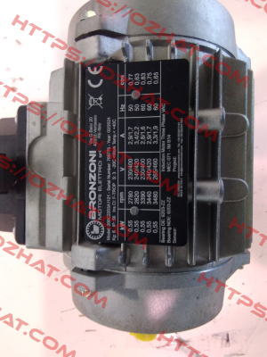 200C2203A1121 Bronzoni