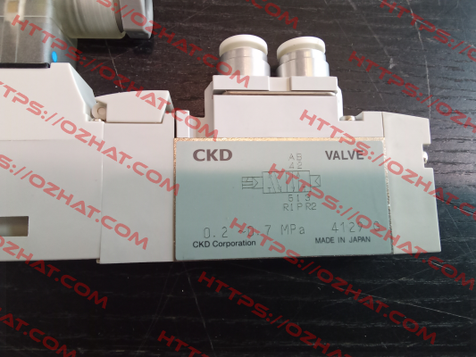 4GA219R-C6-BH-1 Ckd