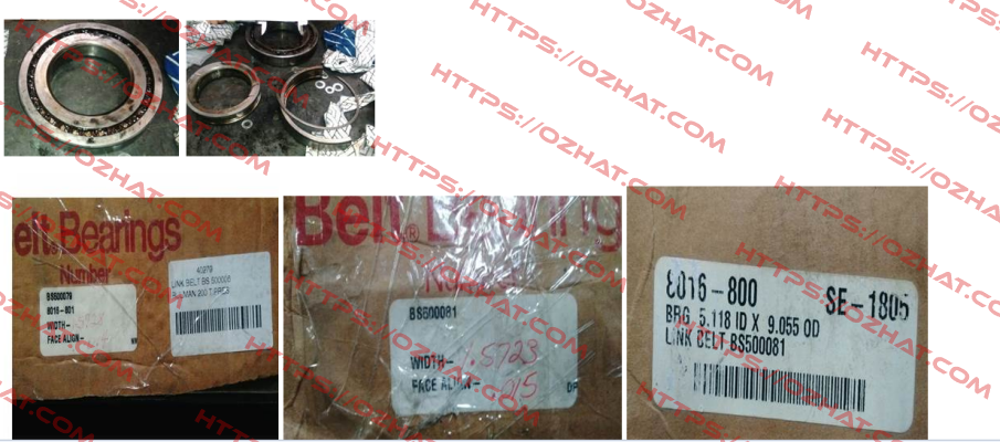 BS5000818016-800 Rexnord