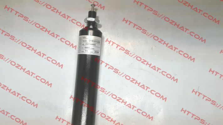 01800122G 400N Suspa