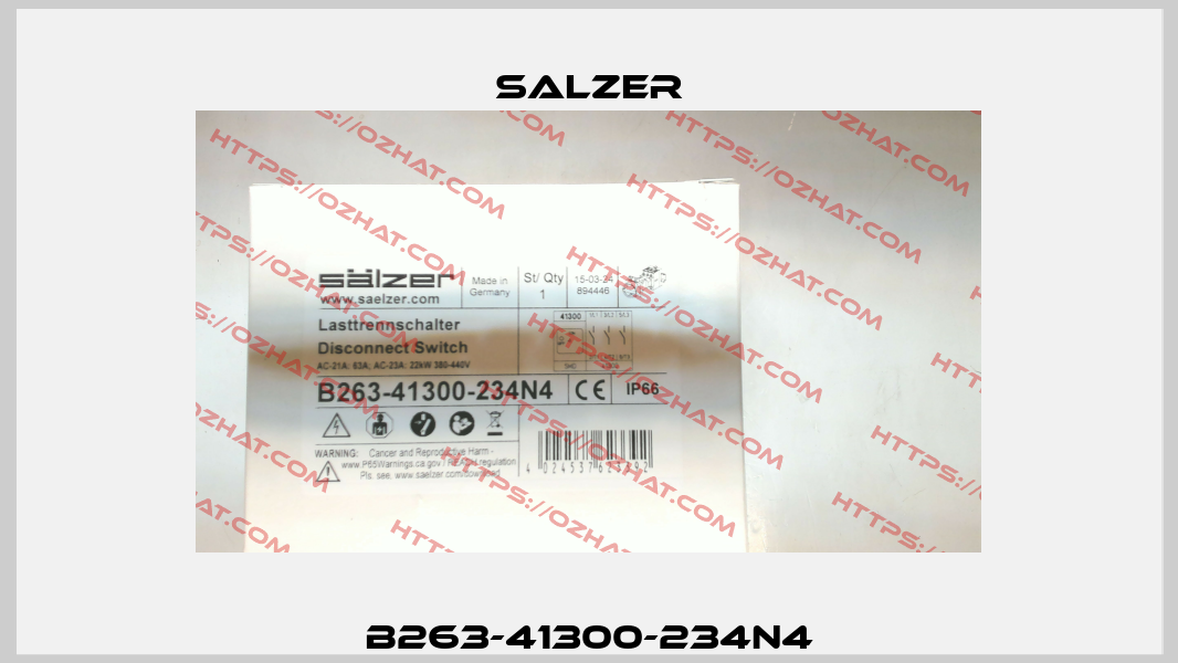 B263-41300-234N4 Salzer