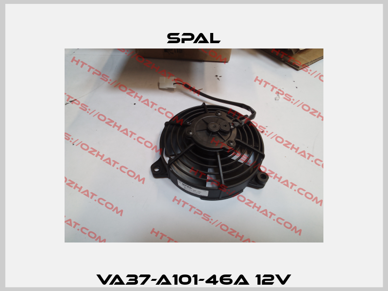 VA37-A101-46A 12V SPAL