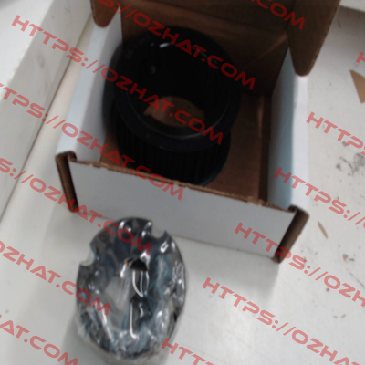 2611149912 Godwin Pumps