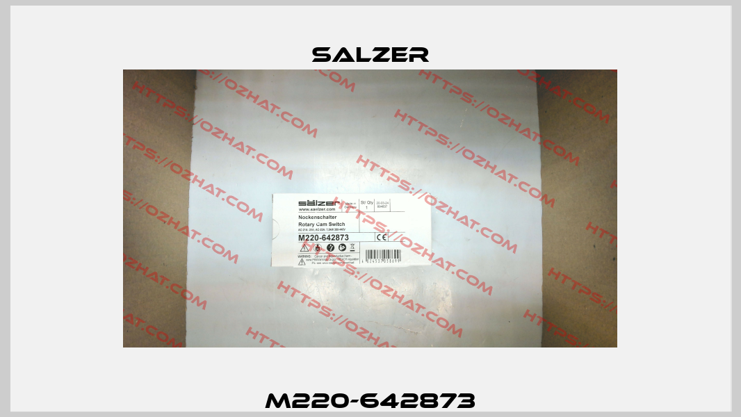 M220-642873 Salzer