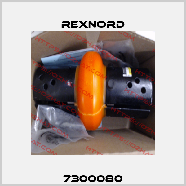 7300080 Rexnord