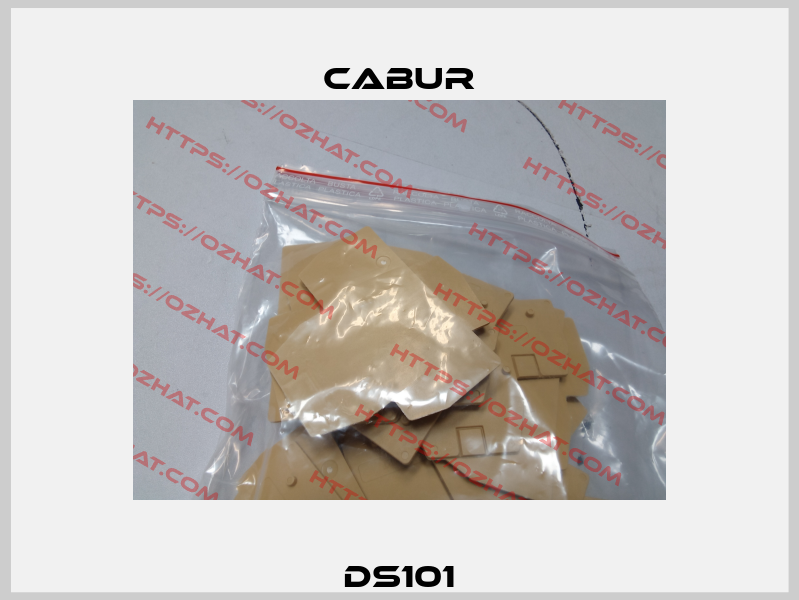DS101 Cabur