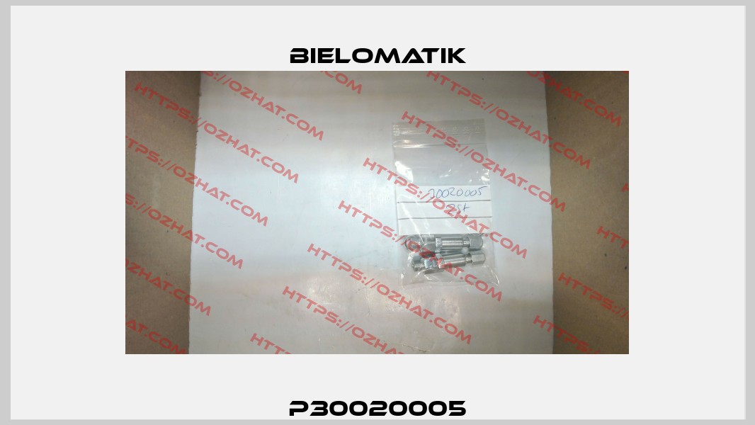 P30020005 Bielomatik