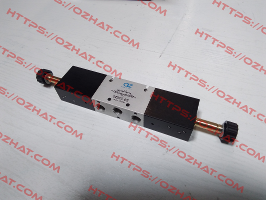 5223C EE 01.021.3 AZ Pneumatica