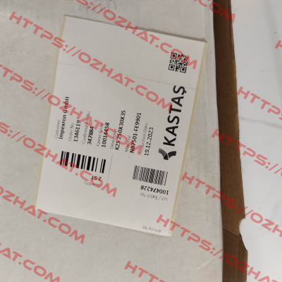 10014458 - K25 250X30X35 Kastas Sealing