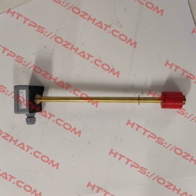 SSM.2.A5.B5.250.280.1.S1 Engler