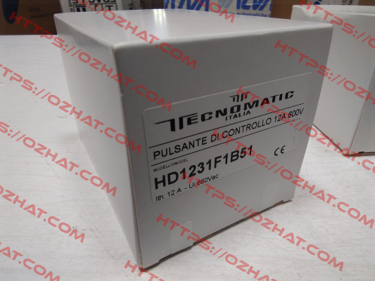 control button for HD1231F1B51 Tecnomatic Italia