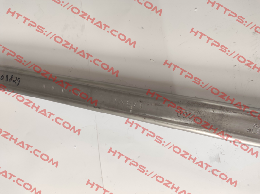 040031 Woelm GmbH