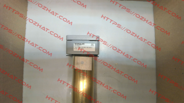 SSM.2.A5.B5.100.335.3 Engler
