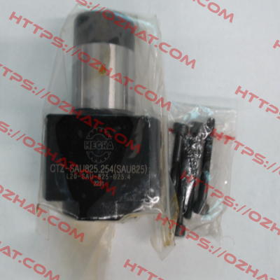 CTZ-SAU825.254 Hegra