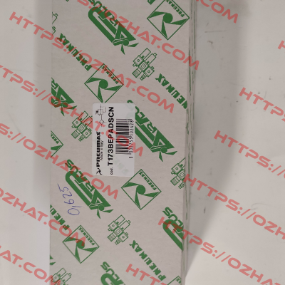 T173BEPADSCN Pneumax