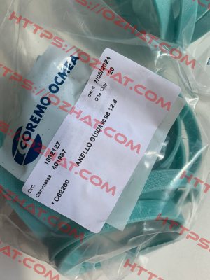 C62260 Coremo Ocmea S.p.A.
