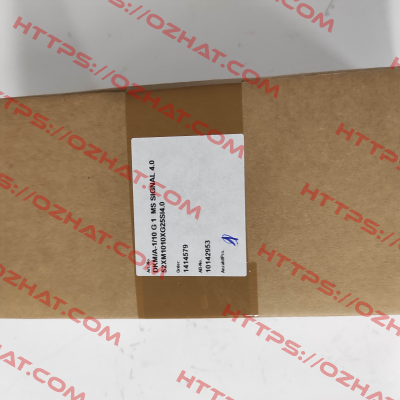 52XM1010XG25SI4.0 /  DKM/A-1/10 G 1" Meister