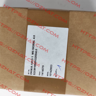 52XM1004XG25SI4.0 / DKM/A-1/4 G 1" Meister