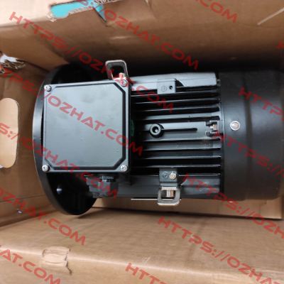 DMA 100L4 B35 Marathon (Regal)