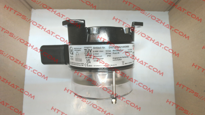 DS21010A21AK0W00 Fischer Mess Regeltechnik