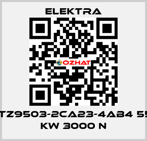 1TZ9503-2CA23-4AB4 55 kW 3000 n ELEKTRA
