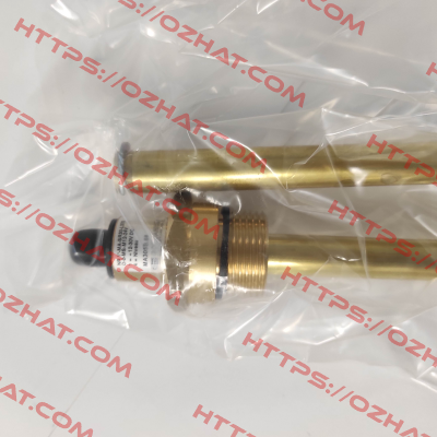NR1IN-MA-SR30-L370-O-O-MS-M12 Goldammer