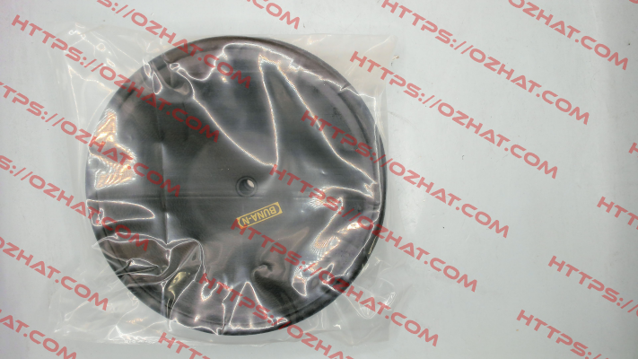 160 4020B DP-25 Diaphragm Buna / 3008587 TERYAIR
