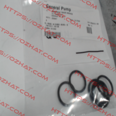 701002 General Pump