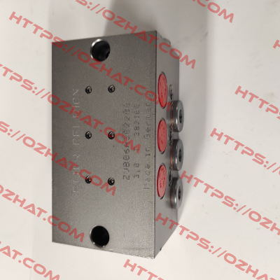 ZVB06A302200 Bijur Delimon