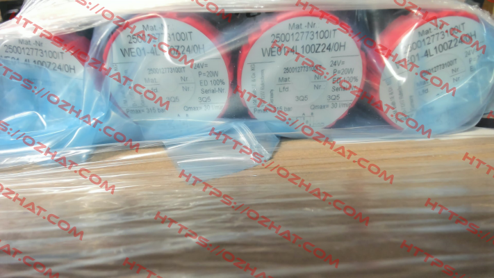 WE01-4L100Z24/0H (1367100710) Voith