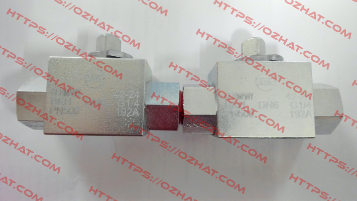 BKH-DN6-G1/4-PN500-192A Mha Zentgraf