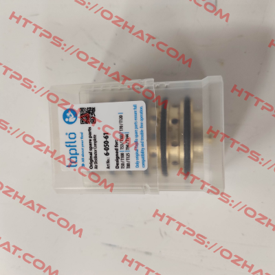6-050-61 Tapflo