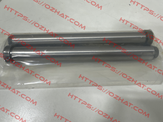 Z01/20x200 Hasco