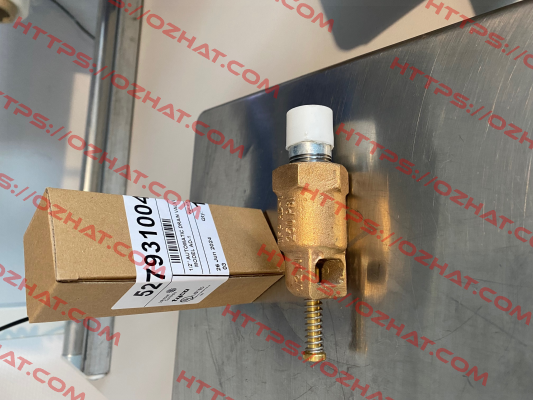 527932004 Johnson Controls